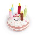 Happy Birthday Cake Dog Toy
