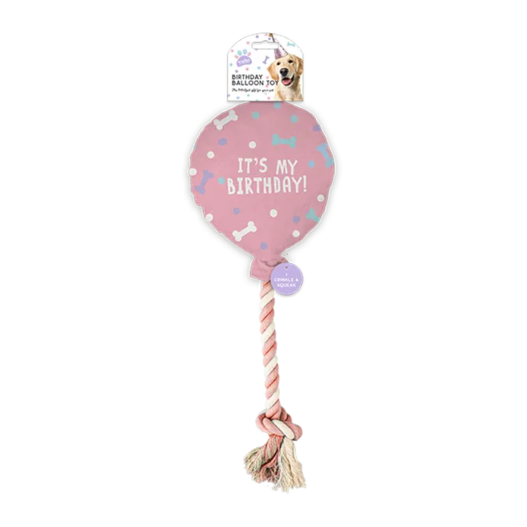 The Paw-ty Balloon Box (Pink)