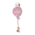 The Paw-ty Balloon Box (Pink)