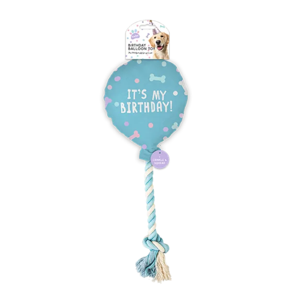 The Paw-ty Balloon Box (Blue)