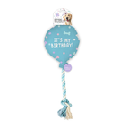 The Paw-ty Balloon Box (Blue)