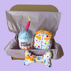 The Pup Party Box
