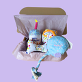 The Paw-ty Balloon Box (Blue)