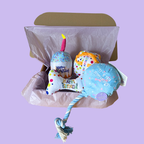 The Paw-ty Balloon Box (Blue)