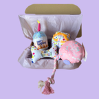 The Paw-ty Balloon Box (Pink)