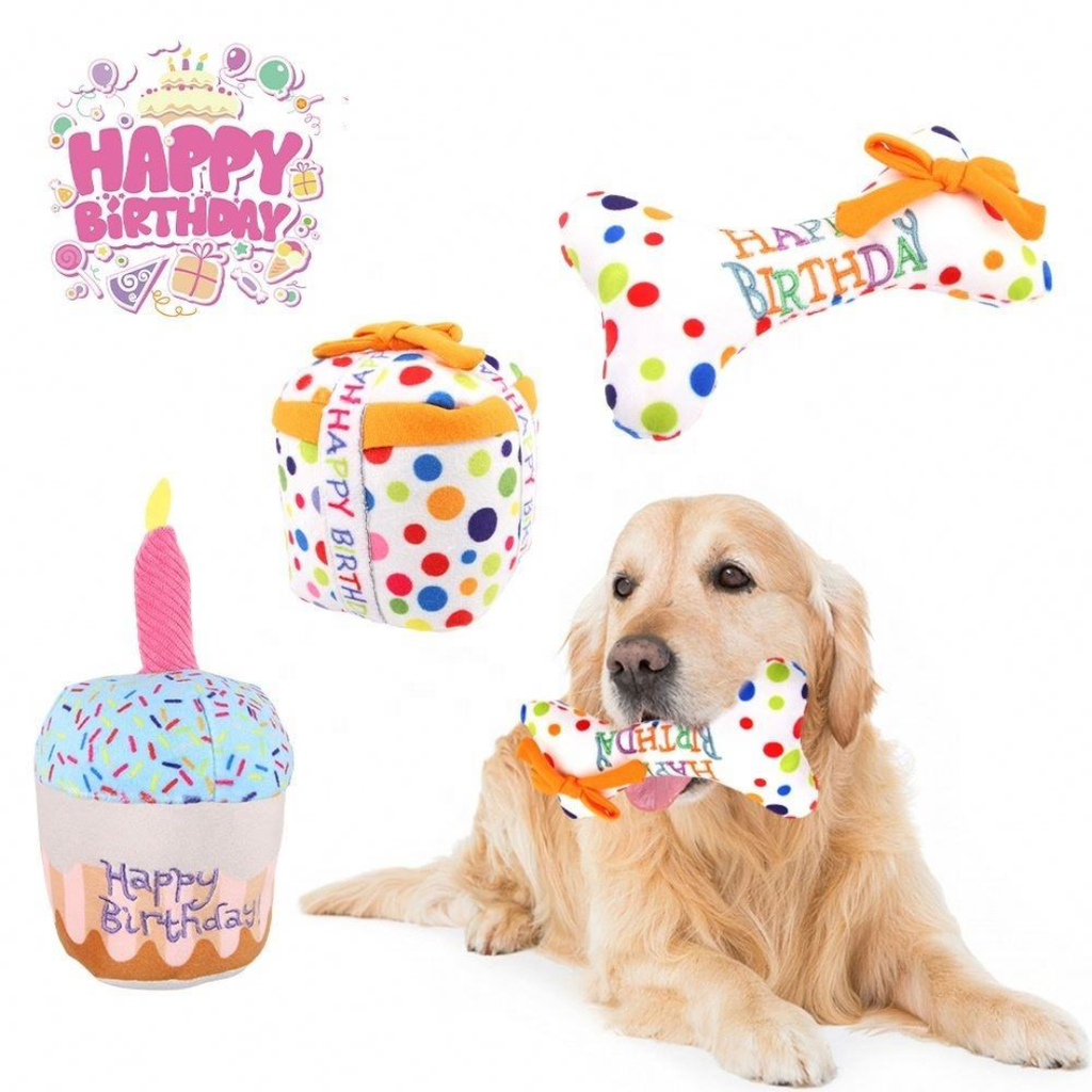 The Paw-ty Balloon Box (Pink)