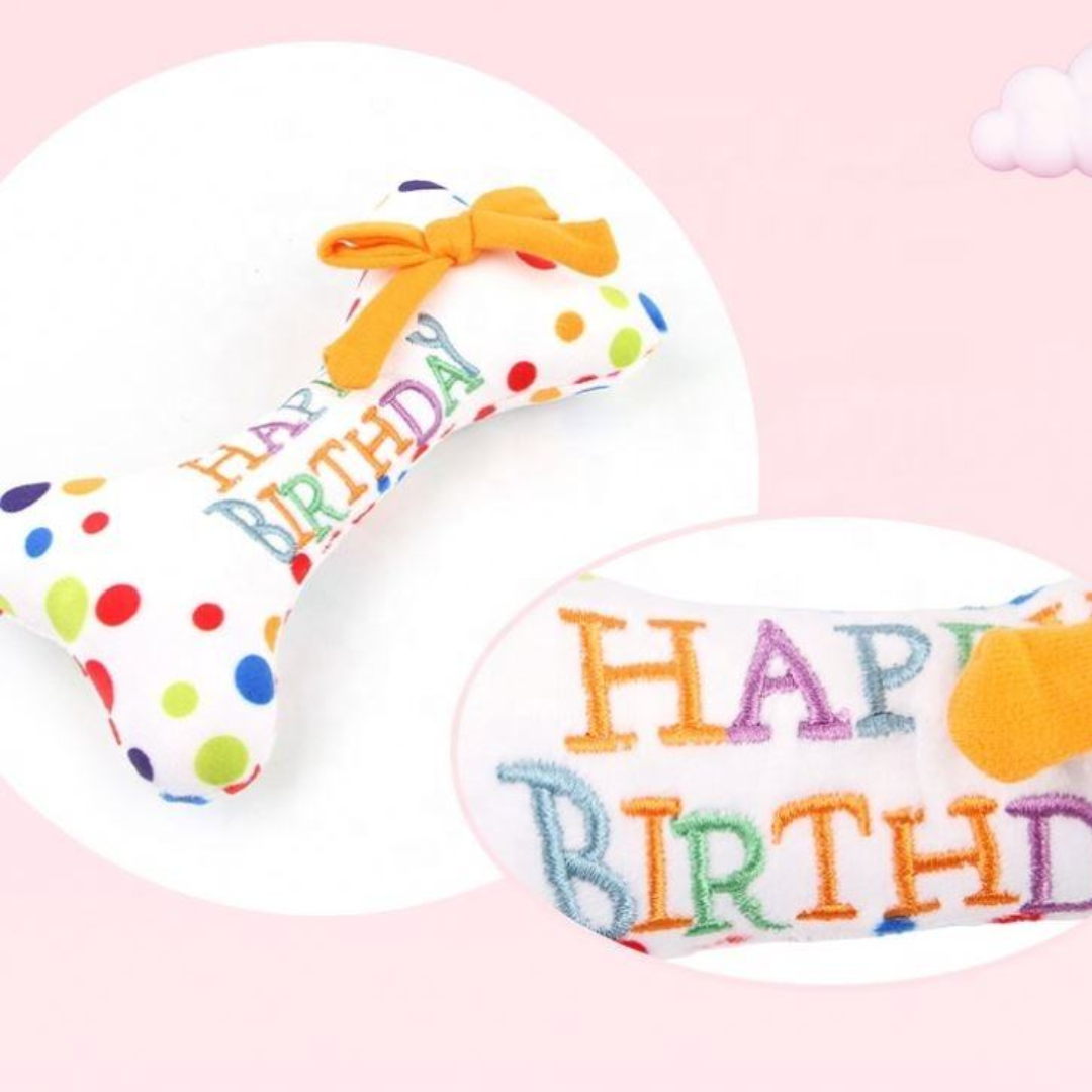The Paw-ty Balloon Box (Blue)
