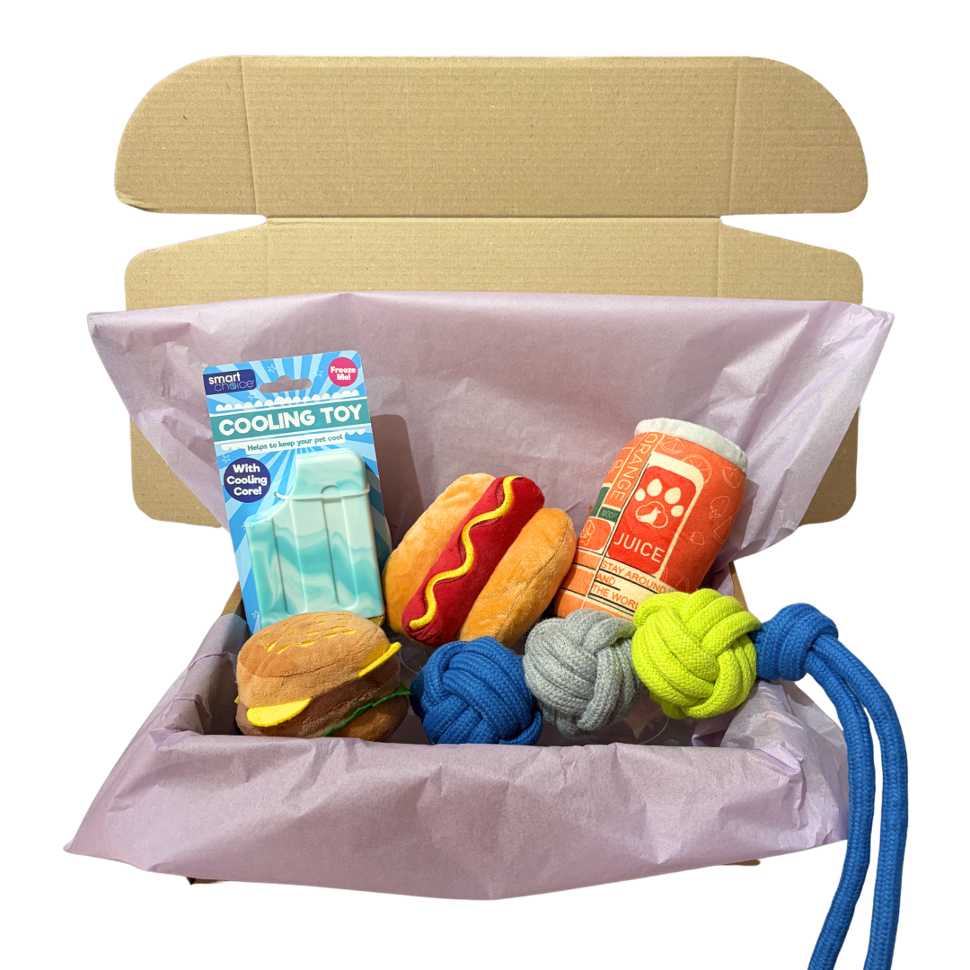 Summer Toy Box (Blue Ice Lolly)