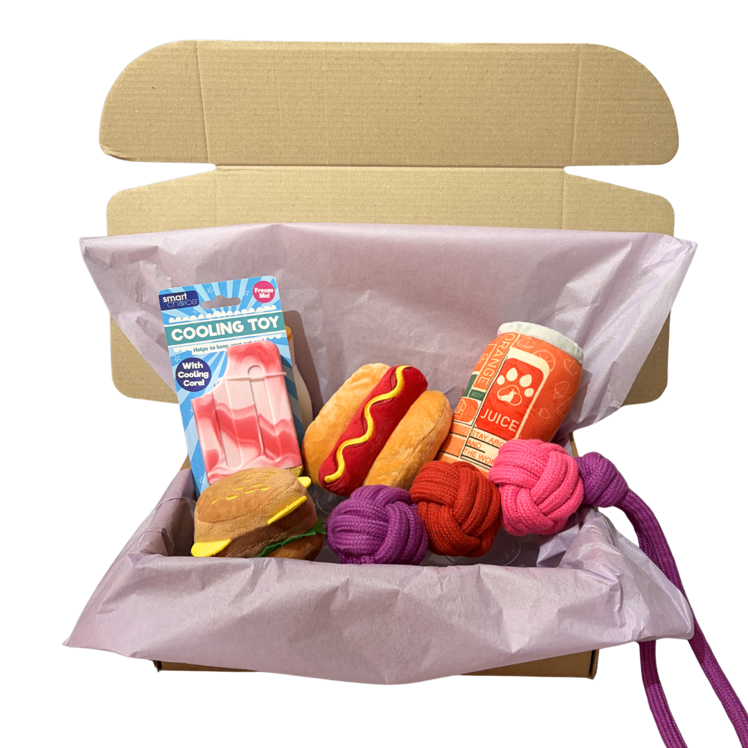 Summer Toy Box (Pink Ice Lolly)