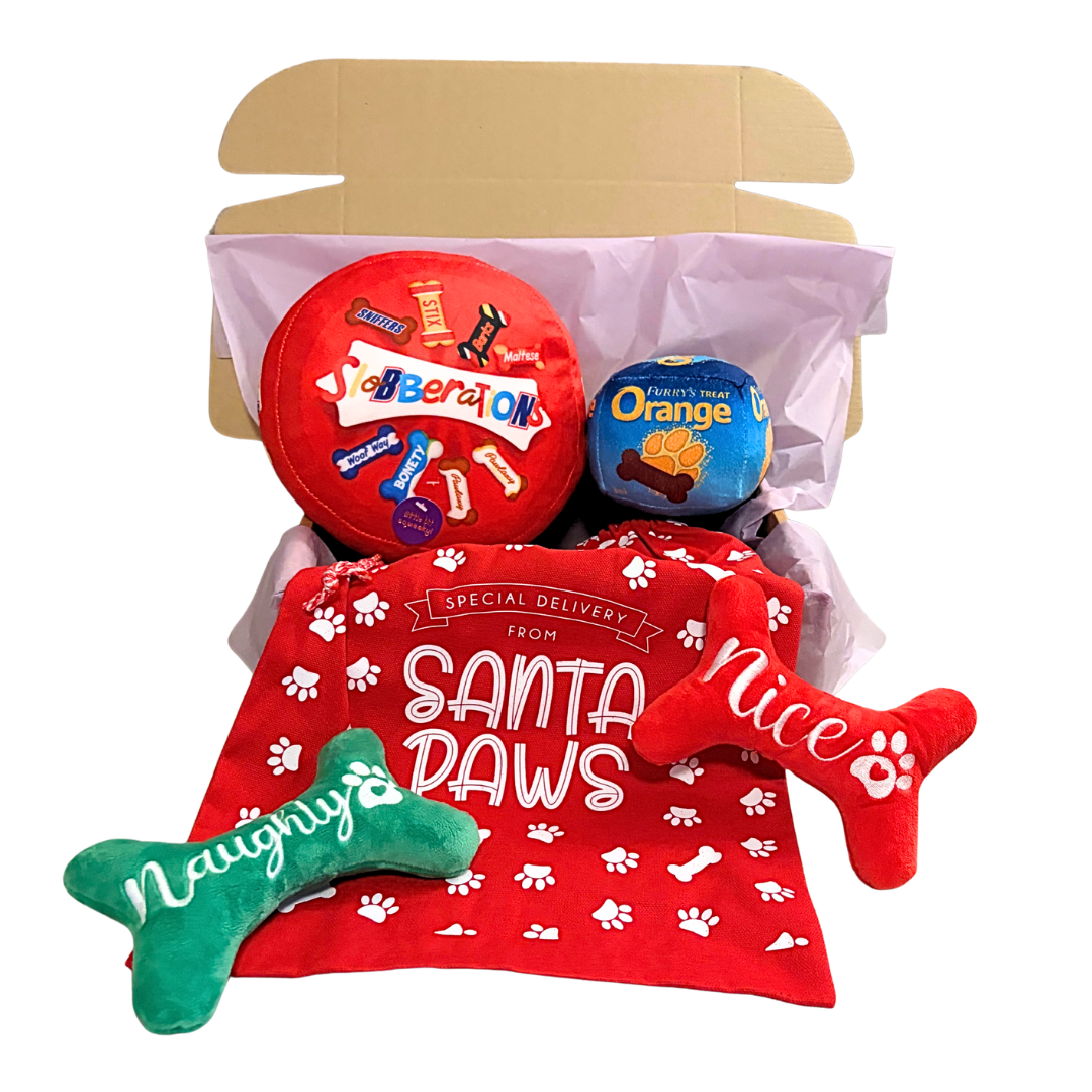 Santa Paws Christmas Box