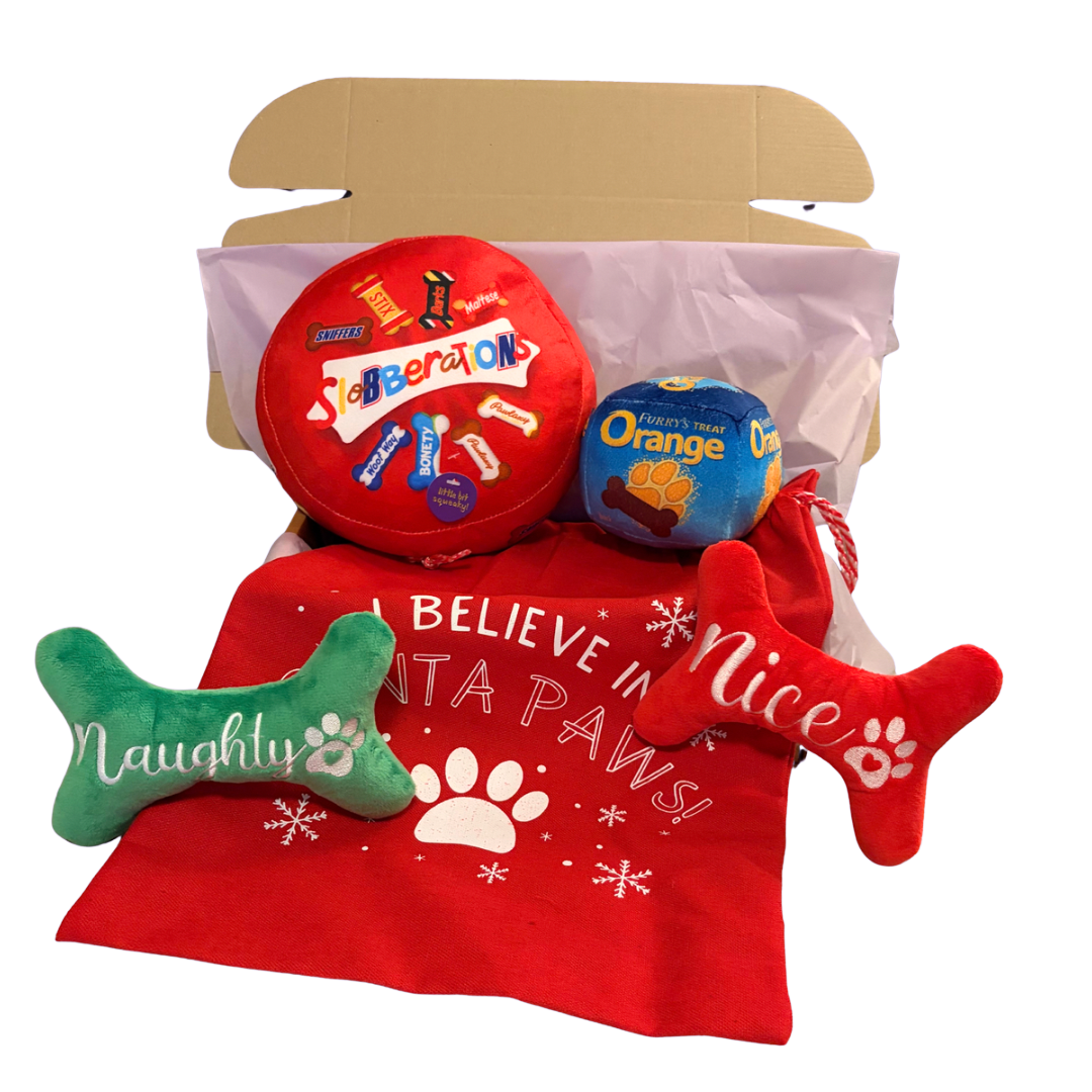 Santa Paws Christmas Box