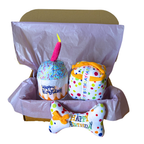 The Pup Party Box