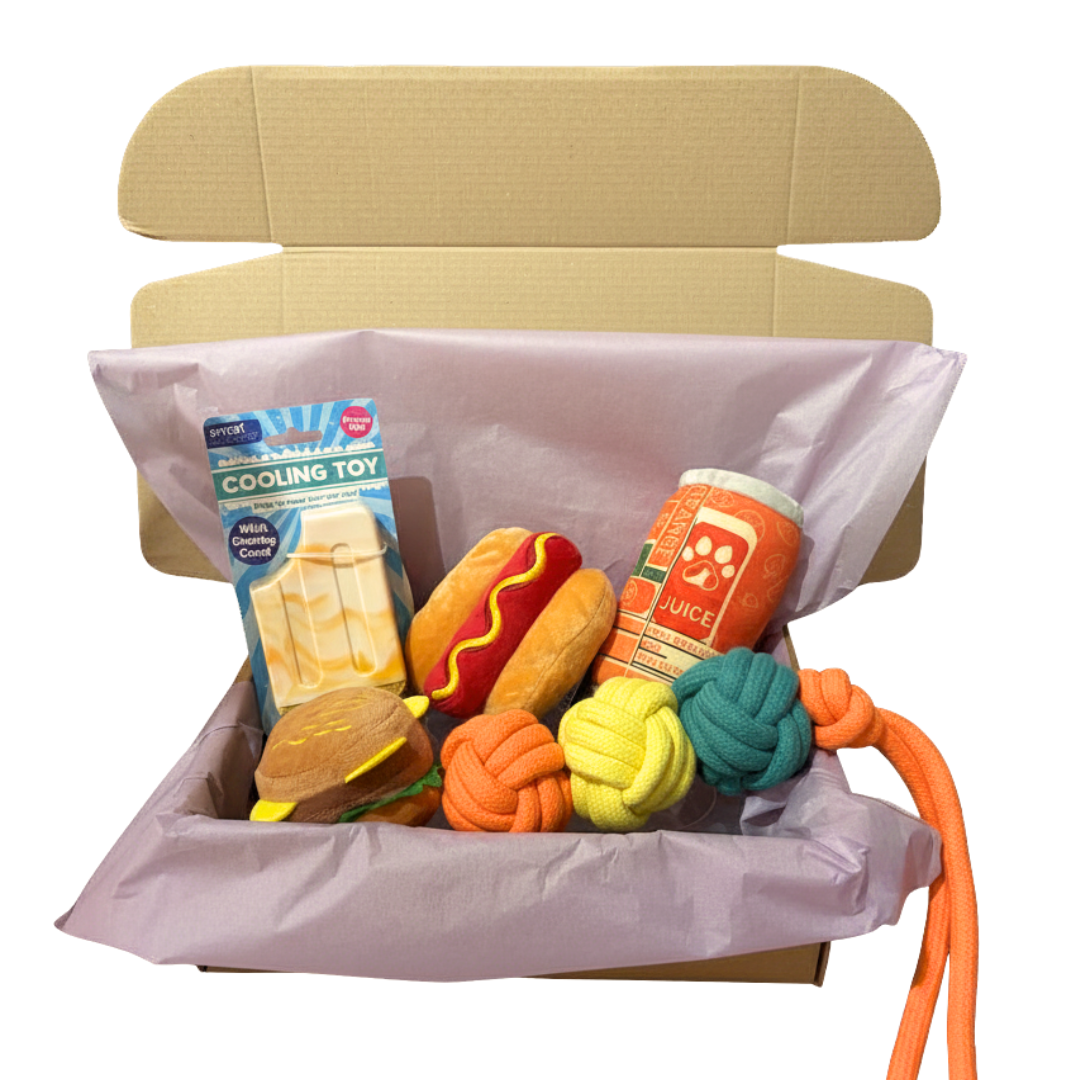 Summer Toy Box (Yellow Ice Lolly)